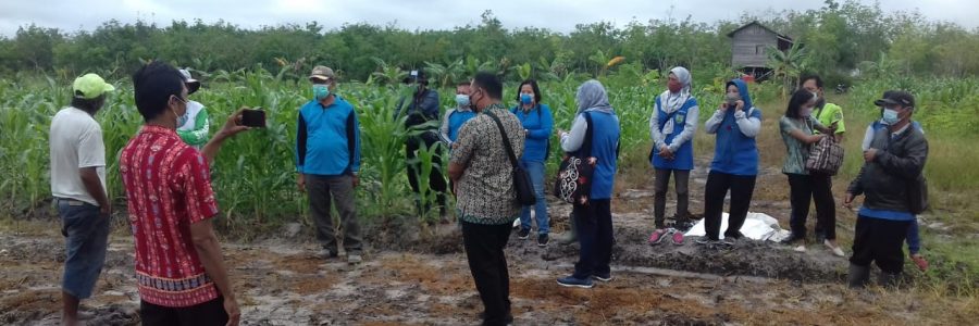 TANIRAN BERPOTENSI PRODUKSI PAKAN TERNAK