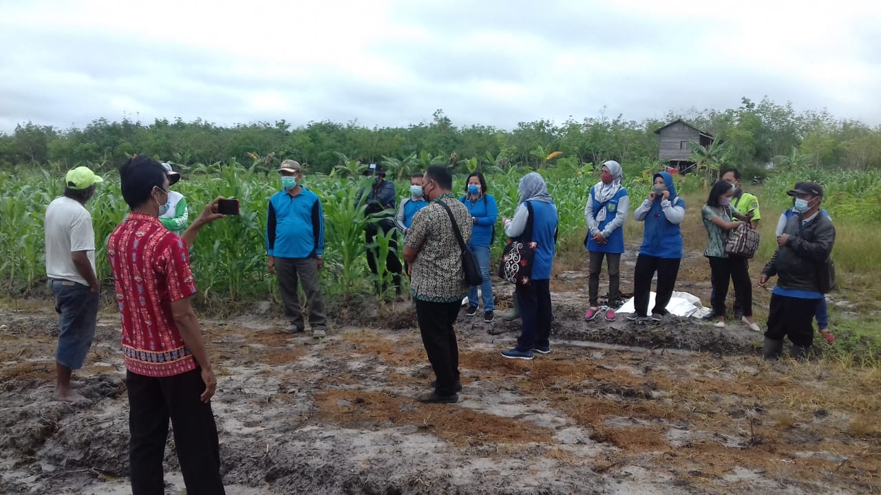 TANIRAN BERPOTENSI PRODUKSI PAKAN TERNAK