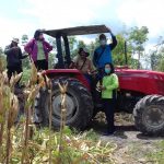 SIAP DIPANEN, LURAH TANIRAN & BPP TINJAU TANAMAN JAGUNG PAKAN TERNAK