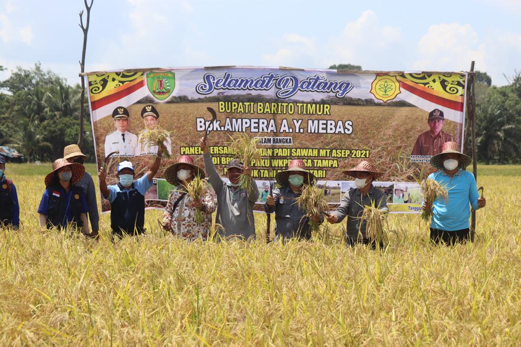 BUPATI MINTA PETANI TAMBAH AREA TANAMAN PADI