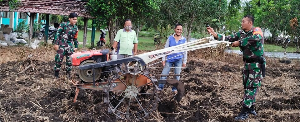 BPP PAJU EPAT  BAJAK TANAH, SIAP TANAM JAGUNG PAKAN TERNAK