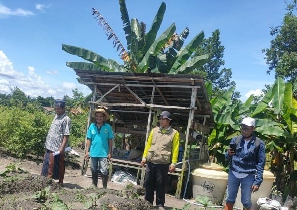 BPP PAJU EPAT AWASI PEMBUATAN TANGGUL DAN IDENTIFIKASI ORGANISME PENGGANGGU TANAMAN