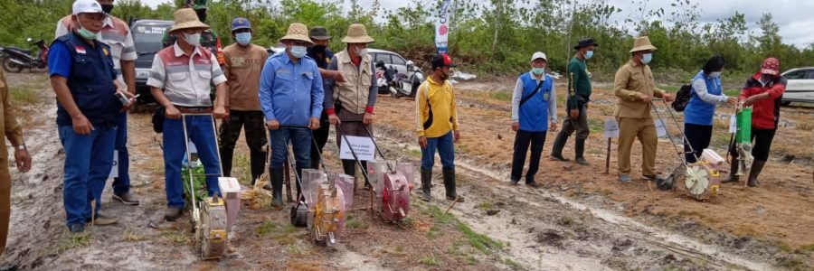 TAHUN ANGGARAN 2022, PEMKAB BARTIM AKAN TANAM 800 HEKTARE JAGUNG PAKAN TERNAK