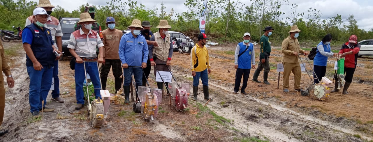 TAHUN ANGGARAN 2022, PEMKAB BARTIM AKAN TANAM 800 HEKTARE JAGUNG PAKAN TERNAK