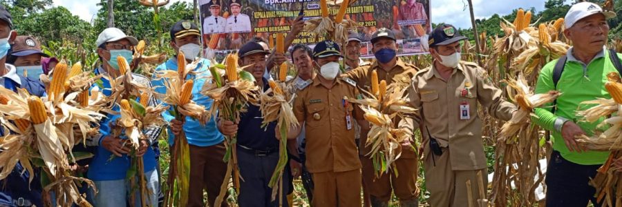 BARTIM LUMBUNG PANGAN KALTENG, WAKIL BUPATI: POTENSI INI HARUS DIPERTAHANKAN