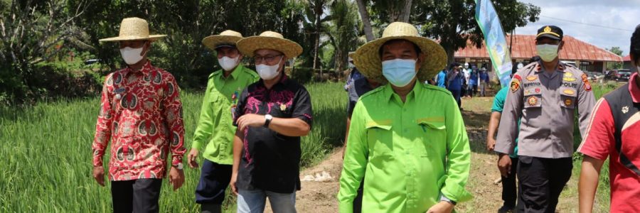 BUPATI SINGGUNG BUMDES YANG BELUM AKTIF, PUNYA DANA TAPI MASIH MENGENDAP DI REKENING