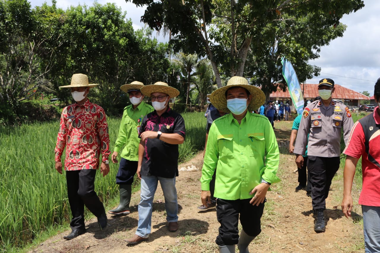 BUPATI SINGGUNG BUMDES YANG BELUM AKTIF, PUNYA DANA TAPI MASIH MENGENDAP DI REKENING