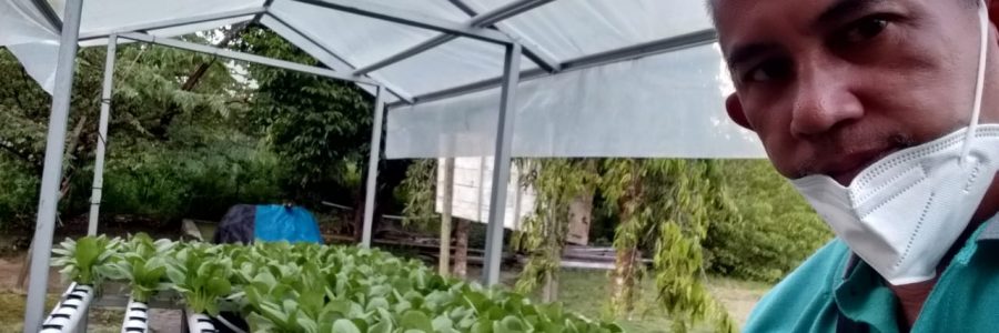 BUDIDAYA HIDROPONIK MEDIA TANAM DARI BAMBU