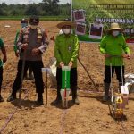 BUPATI BARITO TIMUR TANAM PERDANA JAGUNG KOMPOSIT DI NETAMPIN