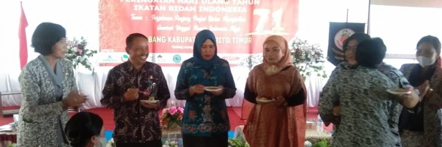 IBI DIHARAPKAN TETAP MENGAYOMI DAN MEMPERJUANGKAN PROFESI BIDAN