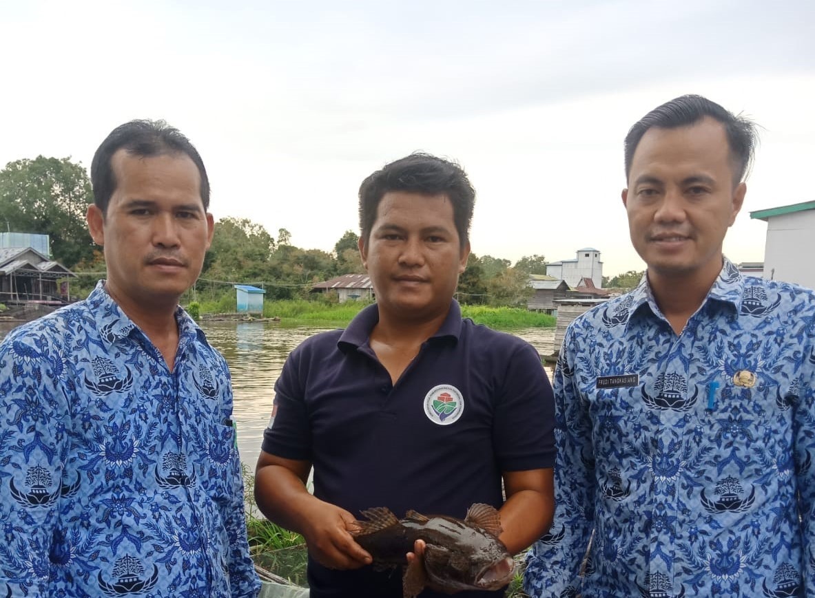 DESA KALINAPU MILIKI POTENSI  BUDIDAYA IKAN HIAS DAN PRODUKSI KERUPUK IKAN SKALA BESAR